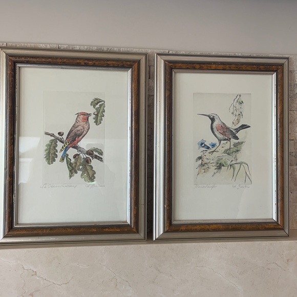 Pair of hand-colored Aviary Prints, framed - Picture 1 of 4